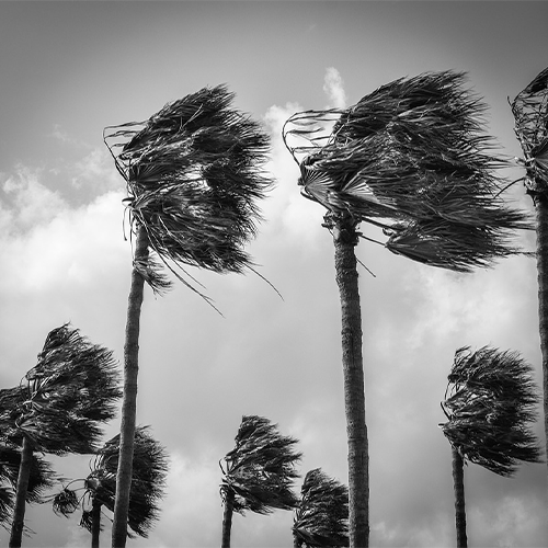 Hurricane-wind resistant residential fencing