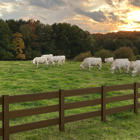 Composite Modern Three Board Ranch Rail (4 ft. H x 5.75 ft. W)– Hurricane Wind and Flame Spread Rated - Durable, Eco-Friendly, and Easy to Install