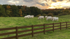 Composite Modern Three Board Ranch Rail (4 ft. H x 5.75 ft. W)– Hurricane Wind and Flame Spread Rated - Durable, Eco-Friendly, and Easy to Install